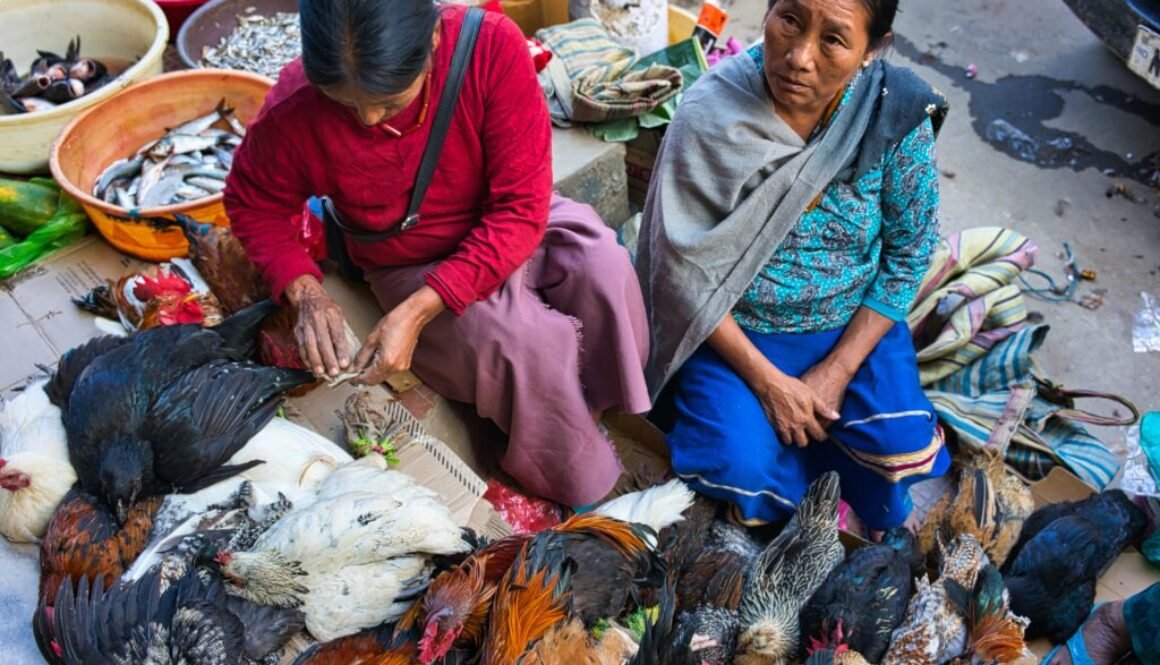 Women at the market in Kohima, in Seven Sisters of India