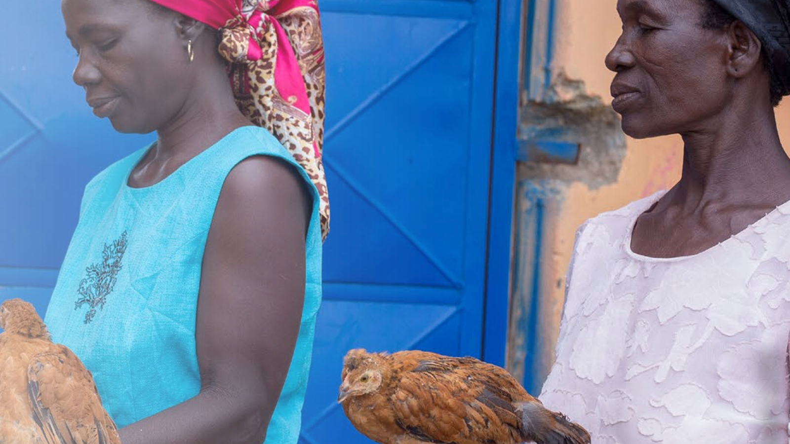 Increasing access to and uptake of livestock vaccines and women’s empowerment with gender-responsive vaccine delivery systems