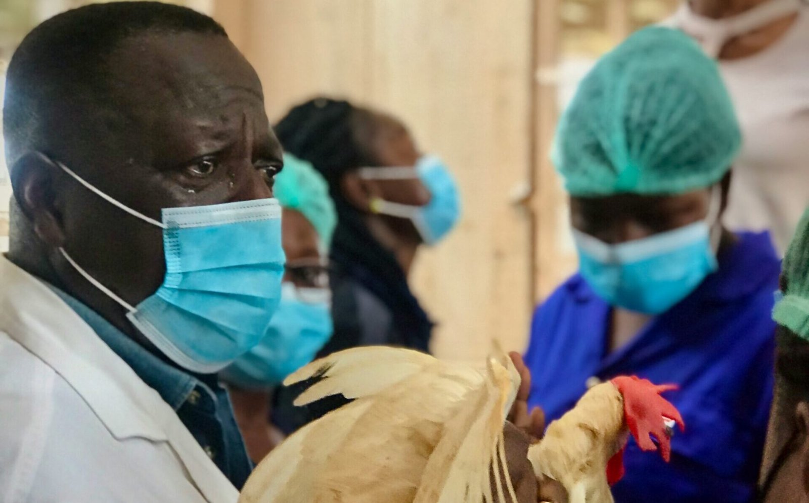 A man in a medical mask holds a chicken while masked workers look on in the background